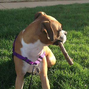 Meet your Posher, Alexander